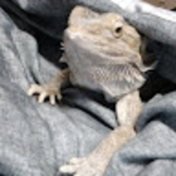 Meet your Posher, Shawna - Picture 1 of 1